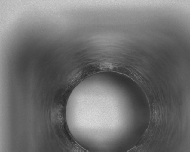 X0000059830616200510281759