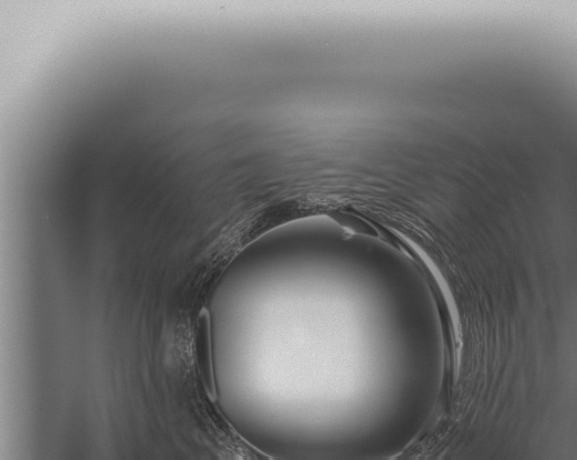 X0000059830617200510281759