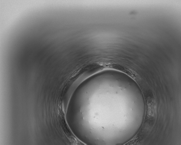 X0000059830618200510281759