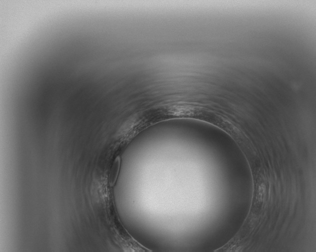 X0000059830620200510281759