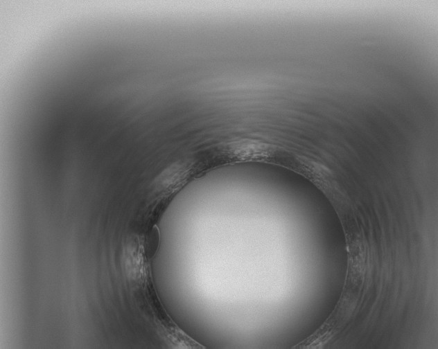 X0000059830622200510281759