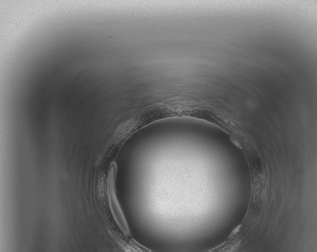 X0000059830623200510281759