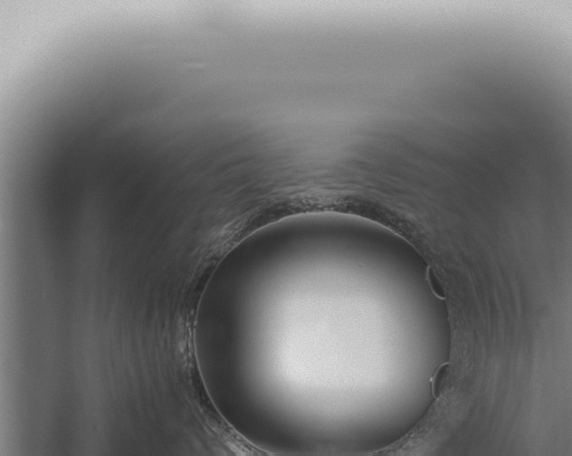 X0000059830624200510281759