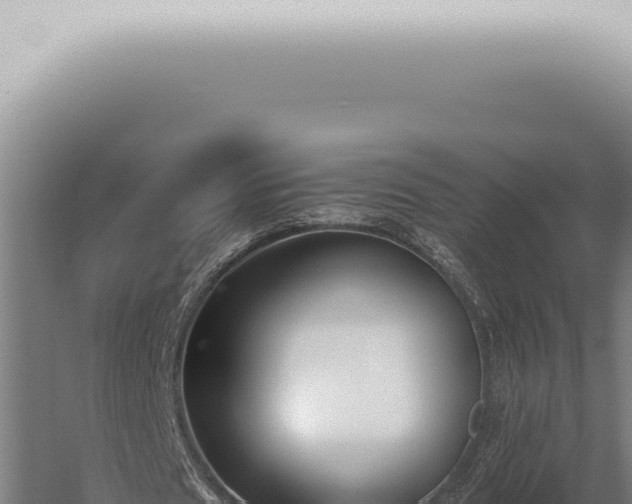 X0000059830625200510281758