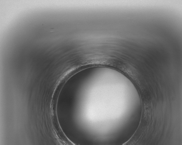 X0000059830628200510281758