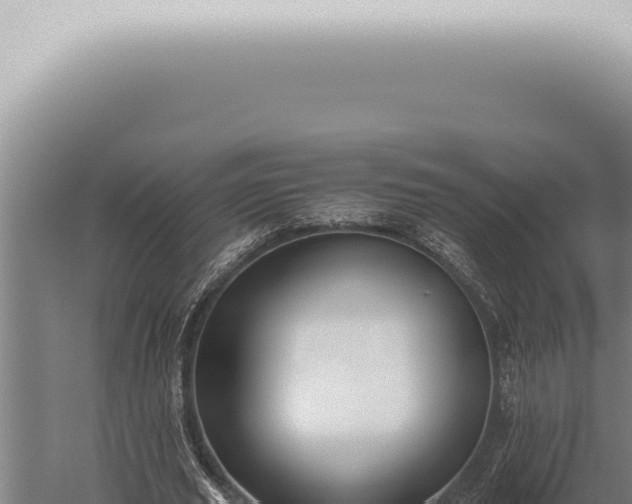 X0000059830629200510281758