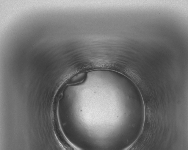 X0000059830630200510281758