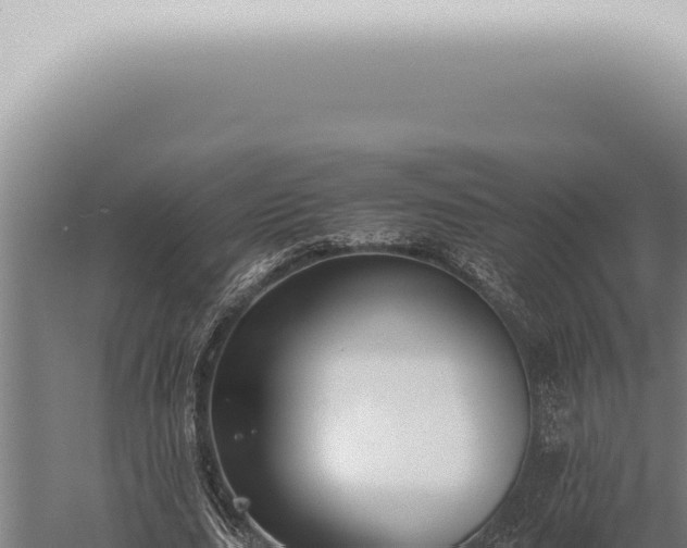 X0000059830631200510281758