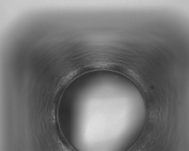 X0000059830633200510281758