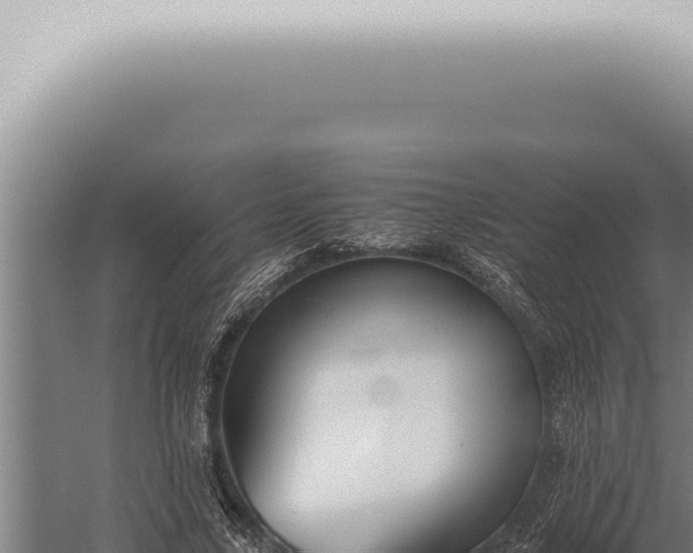 X0000059830635200510281758