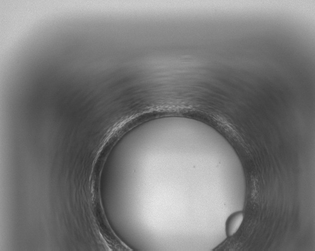 X0000059830636200510281758