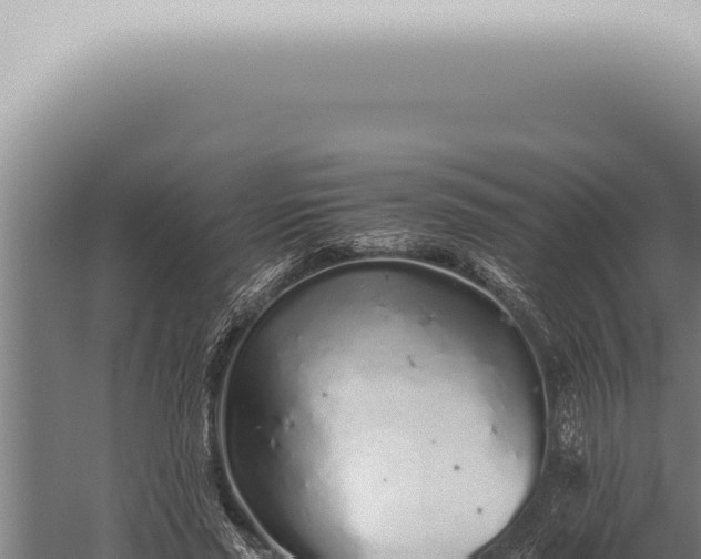 X0000059830637200510281758