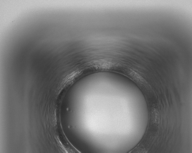 X0000059830638200510281759