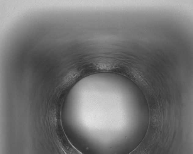 X0000059830639200510281759