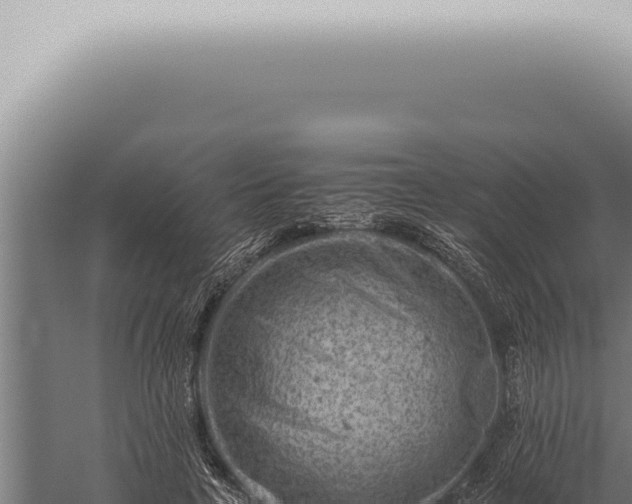 X0000059830641200510281759