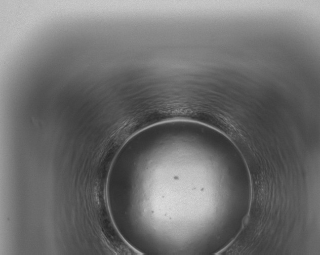 X0000059830643200510281759