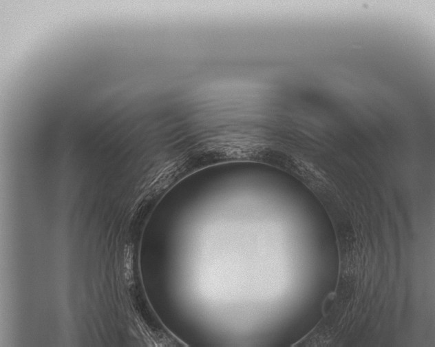 X0000059830646200510281759