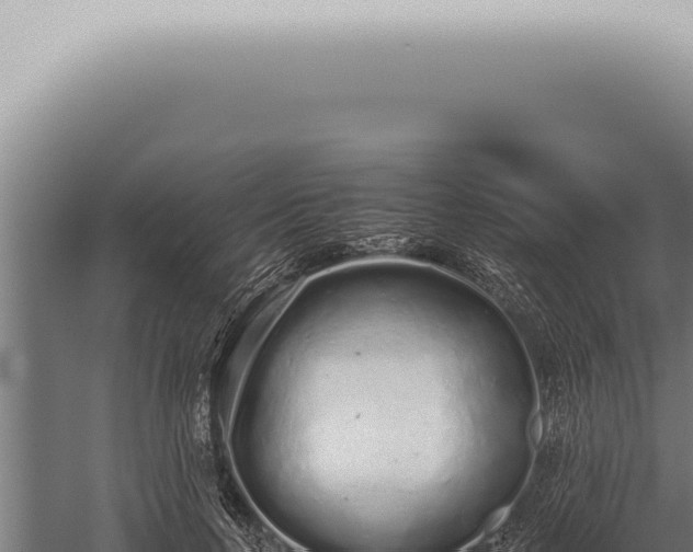 X0000059830647200510281759