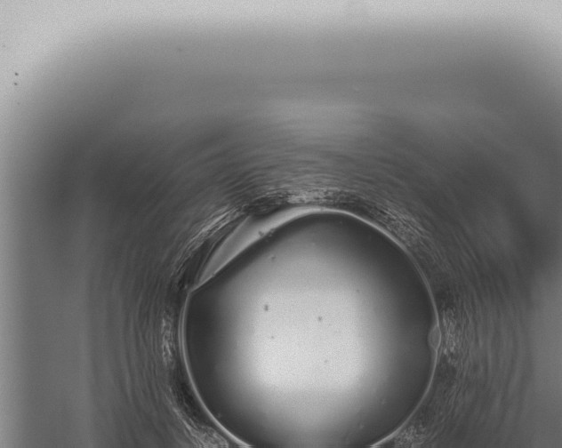 X0000059830648200510281759