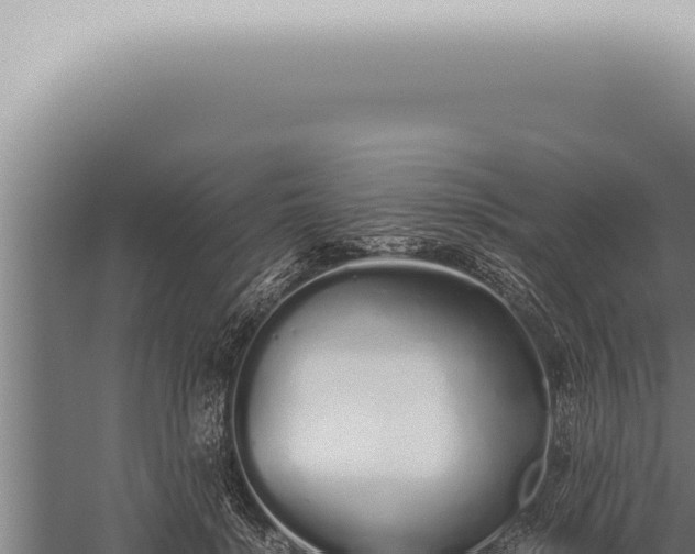 X0000059830652200510281759