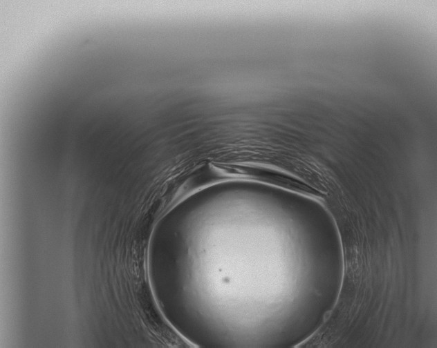 X0000059830653200510281759