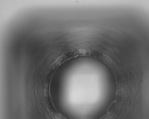 X0000059830656200510281759