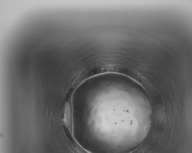 X0000059830661200510281759