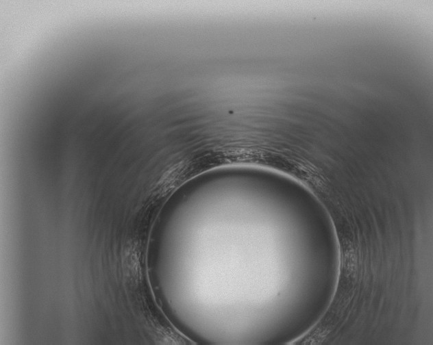 X0000059830662200510281759