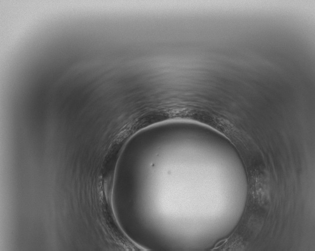 X0000059830664200510281759