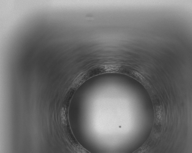 X0000059830667200510281759