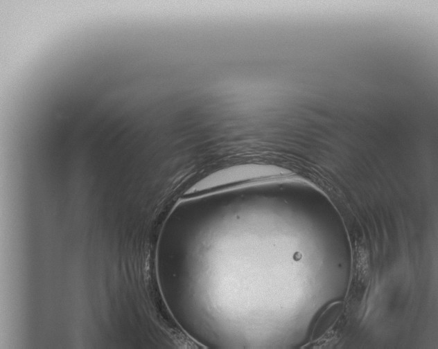 X0000059830668200510281759