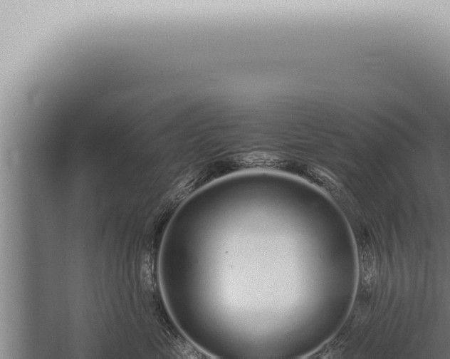 X0000059830669200510281759