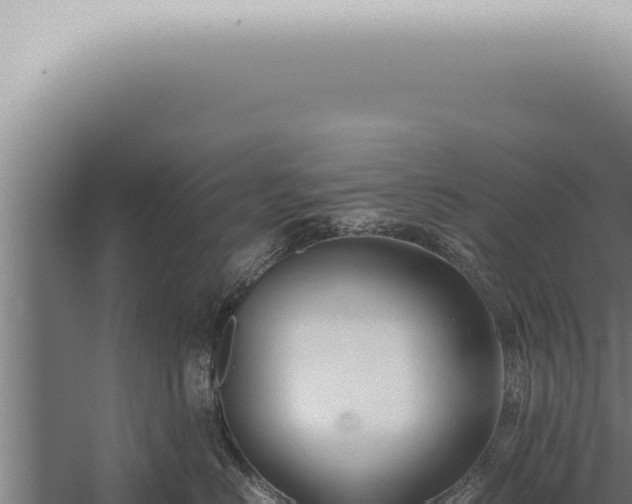 X0000059830670200510281759