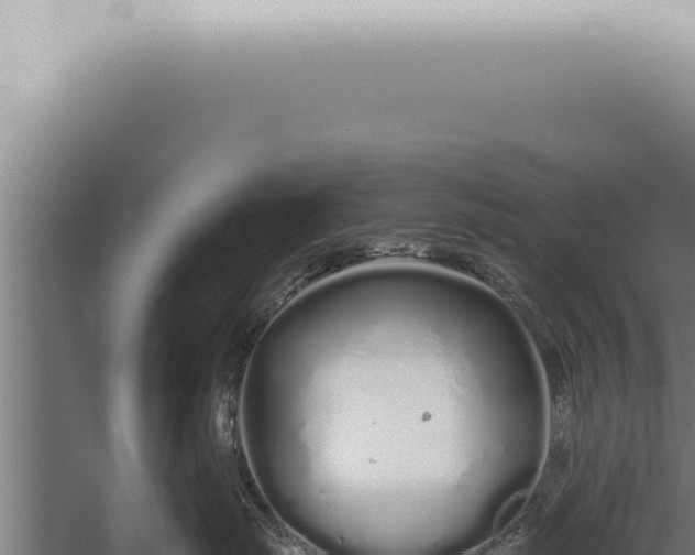 X0000059830671200510281759