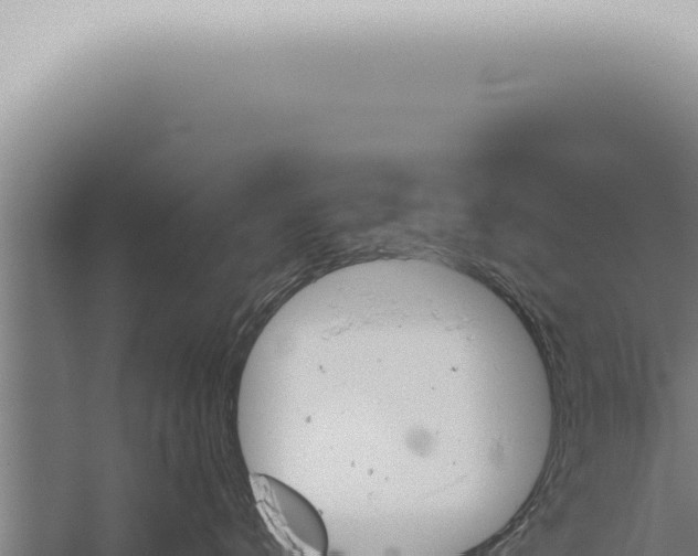 X0000059830672200510281759