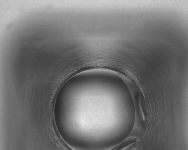 X0000059830673200510281758