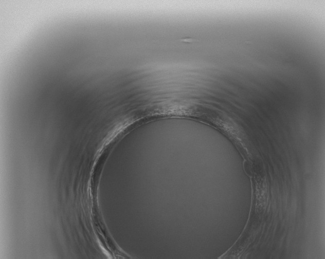 X0000059830674200510281758