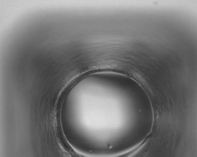 X0000059830676200510281758