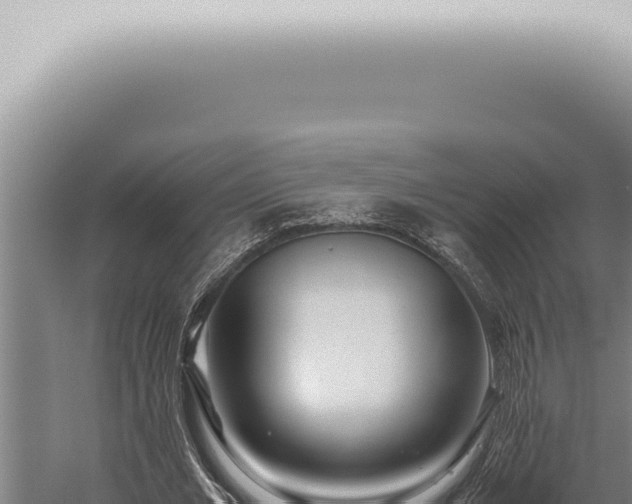 X0000059830677200510281758