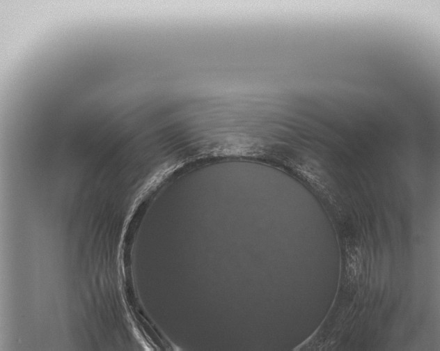 X0000059830678200510281758