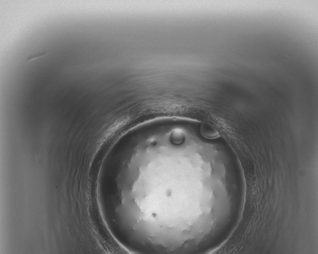 X0000059830679200510281758