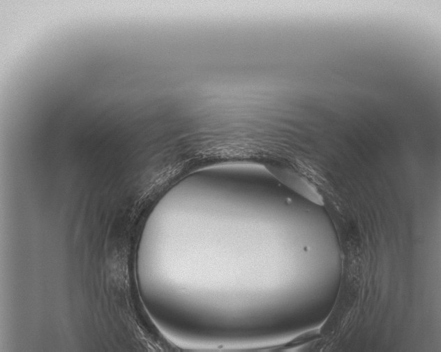 X0000059830681200510281758