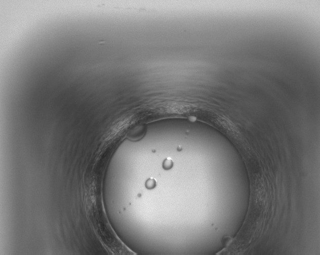 X0000059830683200510281758