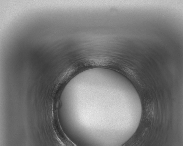 X0000059830686200510281758