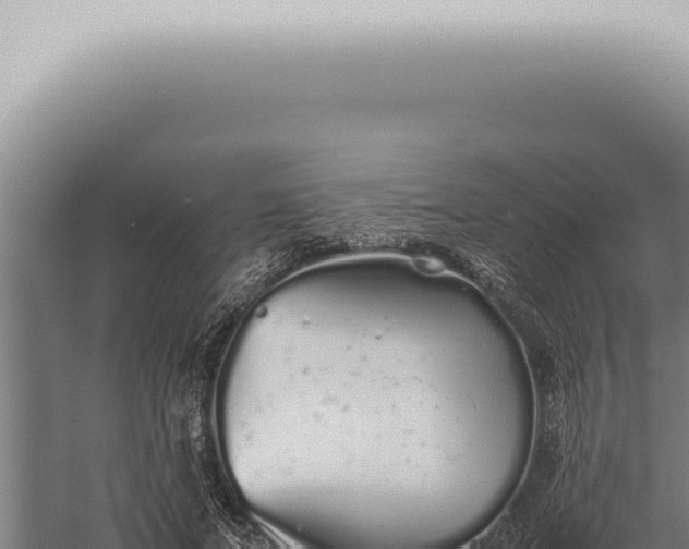 X0000059830687200510281758