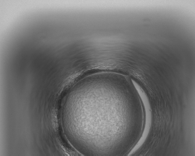 X0000059830688200510281758