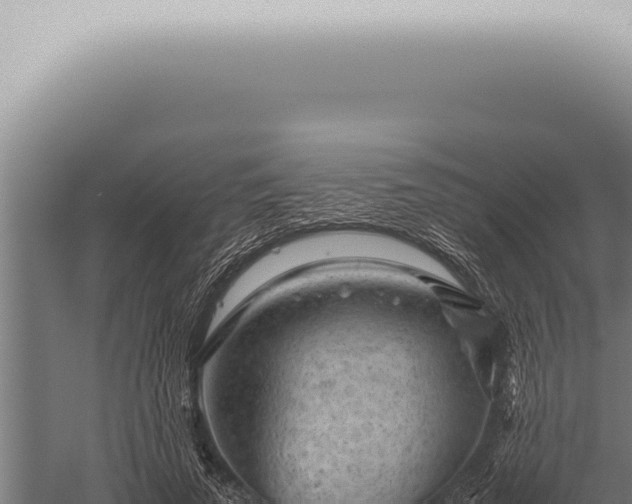 X0000059830689200510281758