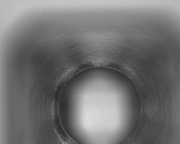 X0000059830690200510281758