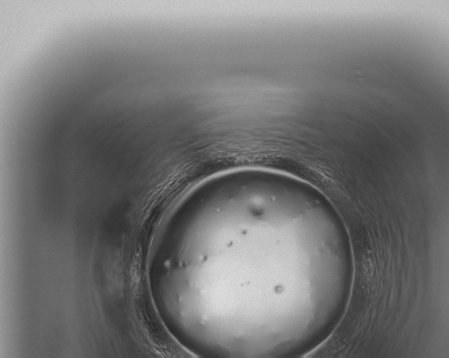 X0000059830691200510281758