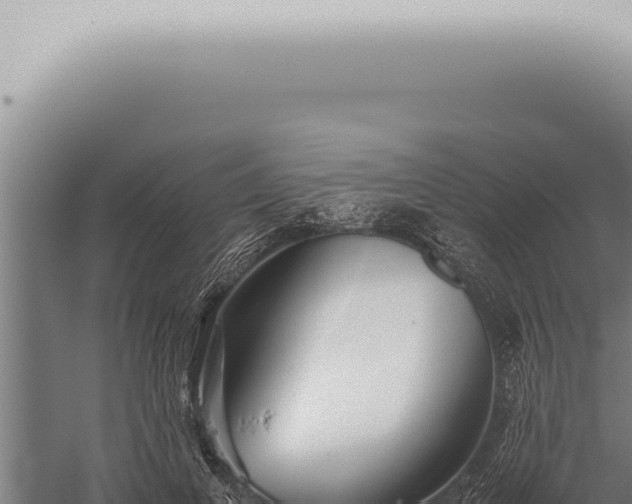 X0000059830693200510281758